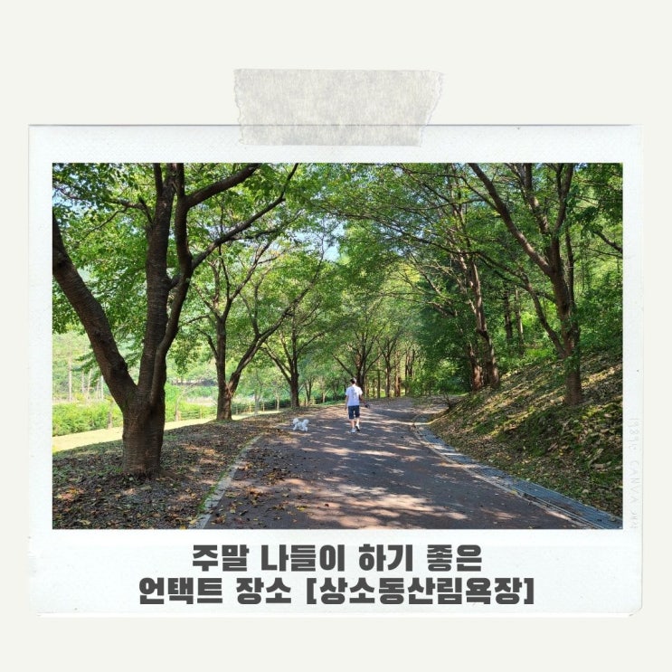 주말 나들이하기 좋은 언택트 장소 [상소동 산림욕장]