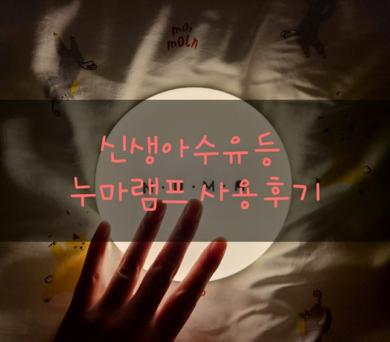 국민수유등 누마 램프 사용중이에요.