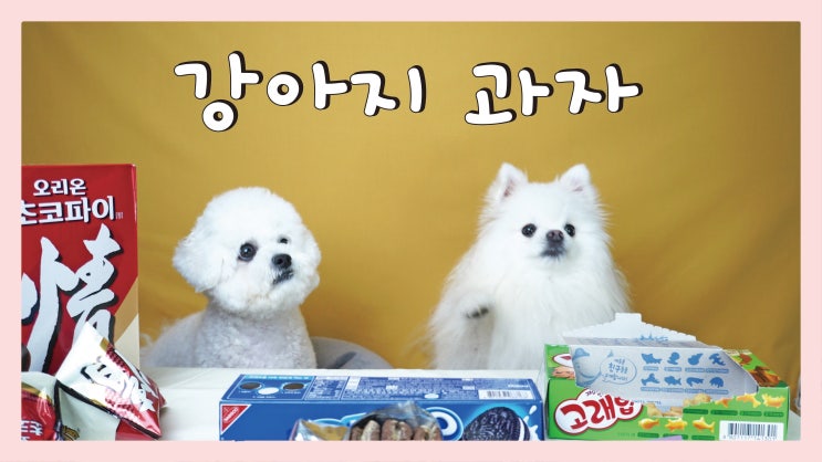  오리온 과자 강아지 수제간식 펫푸드 만들기