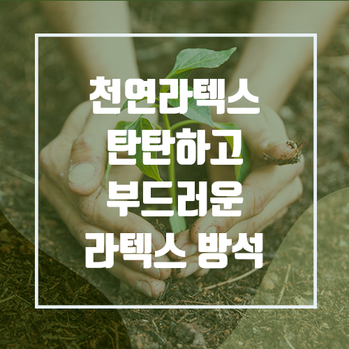 사바이라텍스 : 천연라텍스 방석 A type//B type