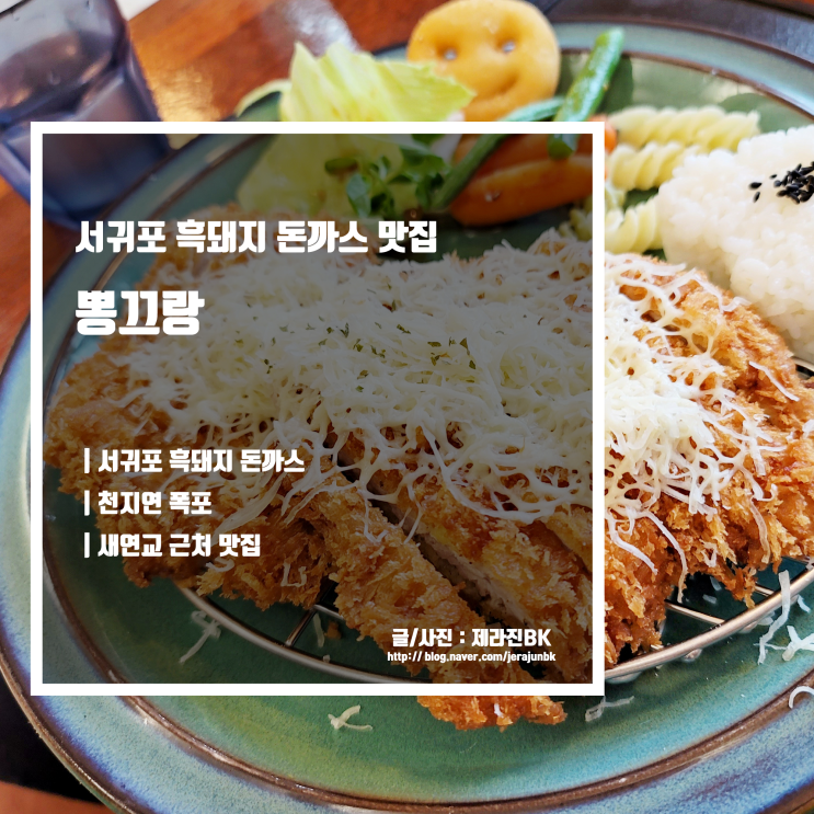 서귀포 흑돼지 돈까스 맛집 올래 6코스 천지연 폭포 새연교 근처