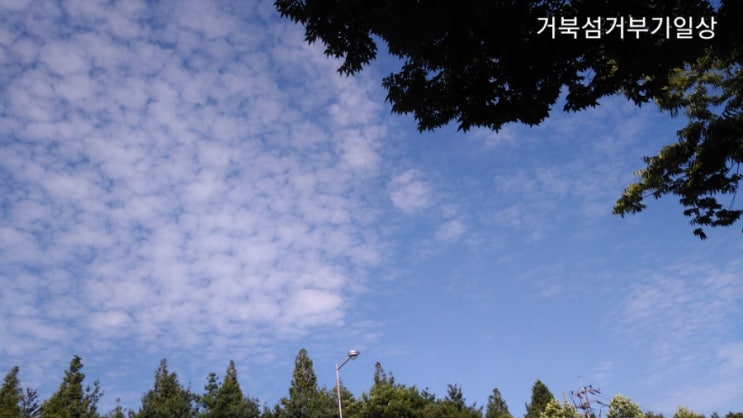 마음을 부탁해 마음을 부탁해