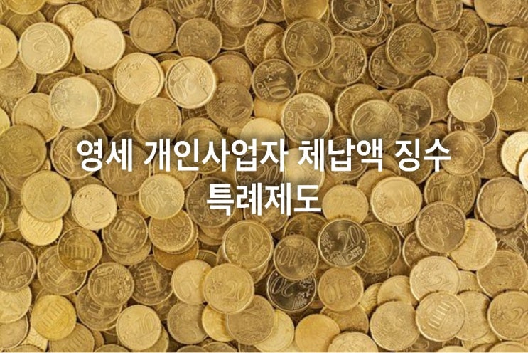  영세 개인사업자 체납액 징수특례제도