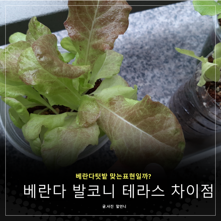  베란다텃밭 맞는 표현일까 베란다 발코니 테라스 차이점