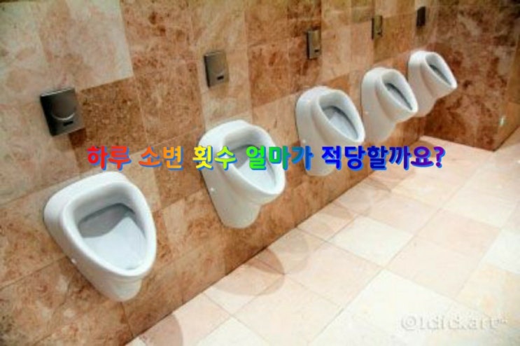 하루 소변 횟수 얼마가 적당할까요? 하루 소변 횟수 얼마가 적당할까요?