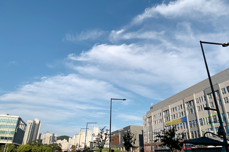  즐겁게 보낸 금요일 오후~