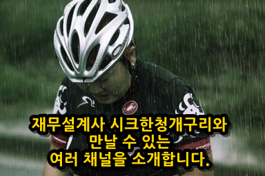 재무설계사 시크한청개구리와 만나는 방법 재무설계사 시크한청개구리와 만나는 방법