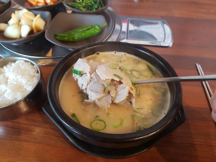 증평 - 진미가효, 오소리 국밥