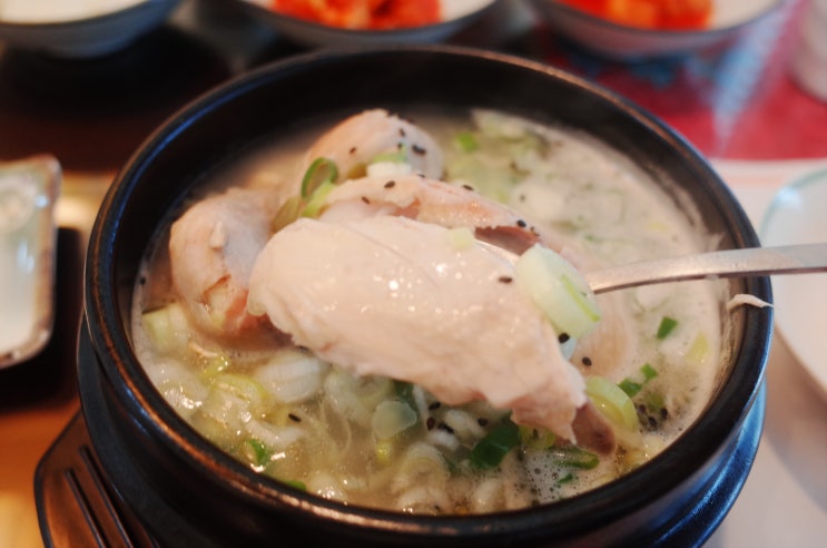  안암역 집밥같은 한정식 맛집 모심