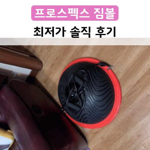  행복했던 짐볼 프로스펙스 밸런스 돔볼 구매 후기!~