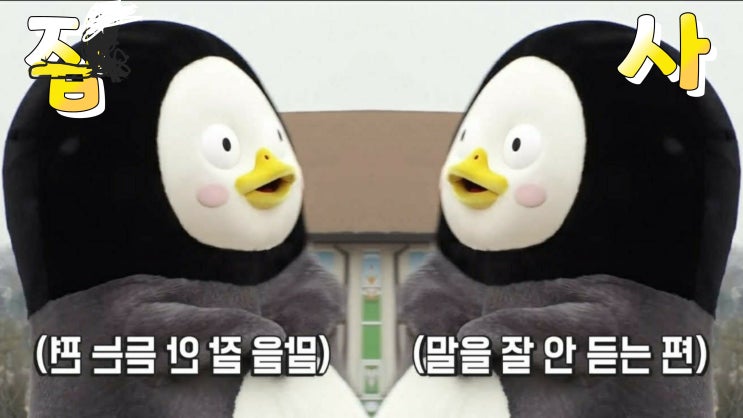  너무 큰 시련을 맞은 댕댕이