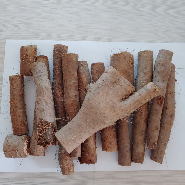  소화가 잘 안될 땐 마를 먹으면 좋아요.