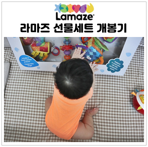 8개월 아기 장난감 라마즈 선물세트(ft.라마즈 애벌레 세탁 꿀팁)