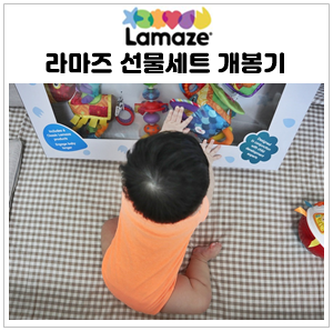  8개월 아기 장난감 라마즈 선물세트(ft.라마즈 애벌레 세탁 꿀팁)