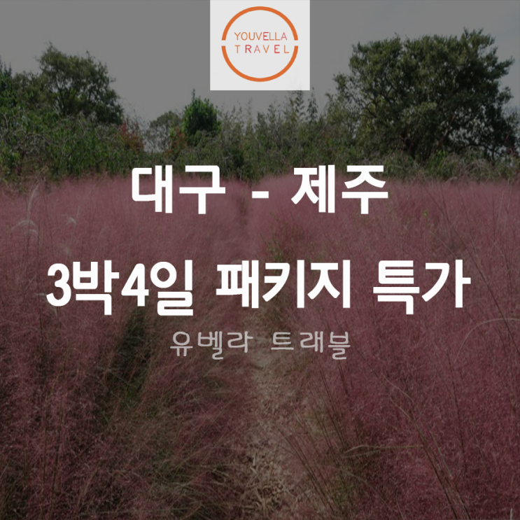  [대구출발] 제주도 3박4일 패키지 특가 여행 ~12월19일까지 아시아나