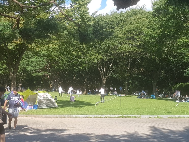  분당 서현동 시범단지한양아파트 테니스장 방문자 코로나검사
