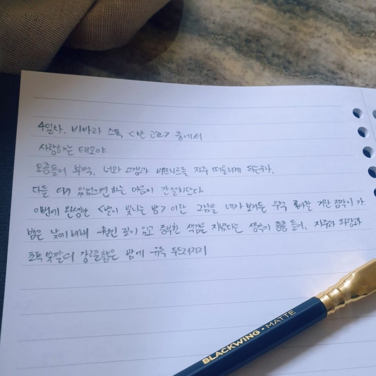  하루에 하늘을 몇 번이나 보나요?