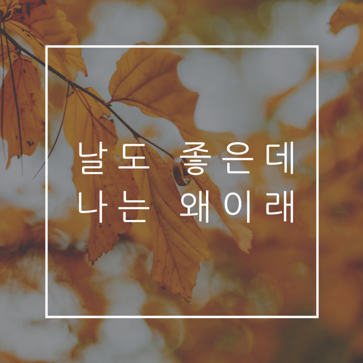 나, 왜이럴까 나, 왜이럴까