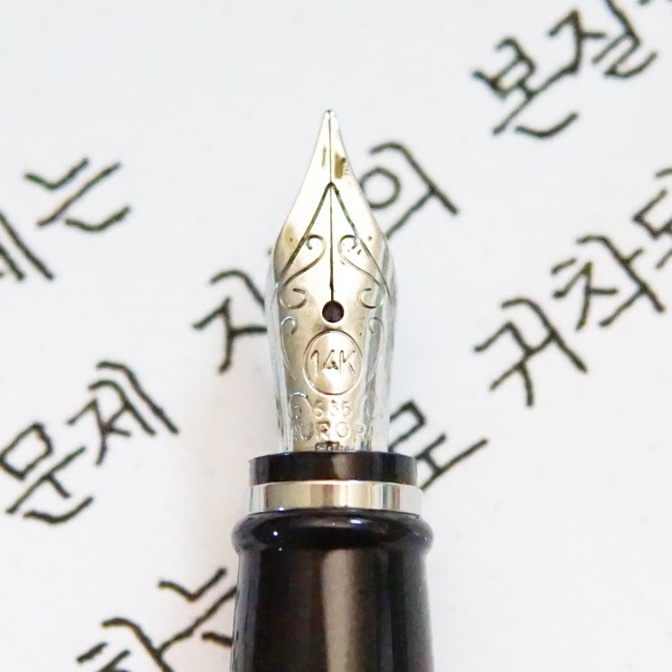  진짜 문제 (오로라 입실론 리고로사 EF닙)