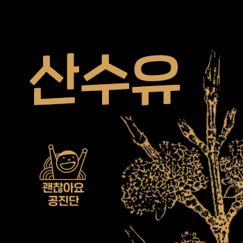 공진단 효능. 산수유의 효능과 부작용 주의사항. 괜찮아요 공진단. 괜찮아요 한의원. 공진단 효능. 산수유의 효능과 부작용 주의사항. 괜찮아요 공진단. 괜찮아요 한의원.