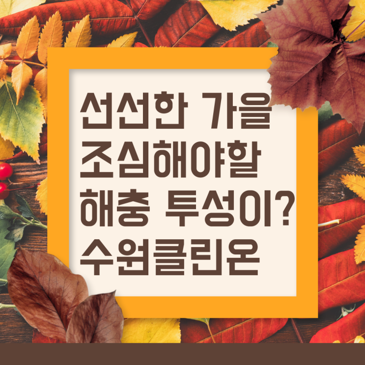  선선한 가을 조심해야할 해충 투성이? 수원클린온