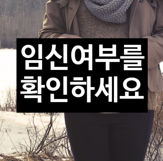  임신 여부 확인하기
