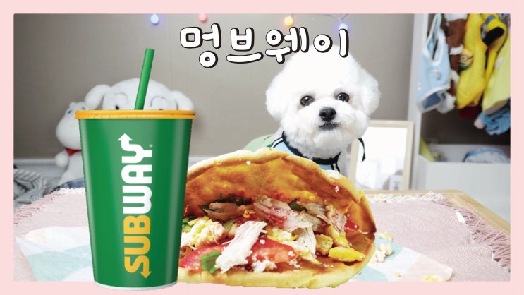 강아지 서브웨이 샌드위치 만들기