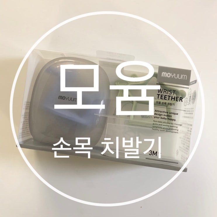  내돈내산 모윰 손목 치발기 사용후기