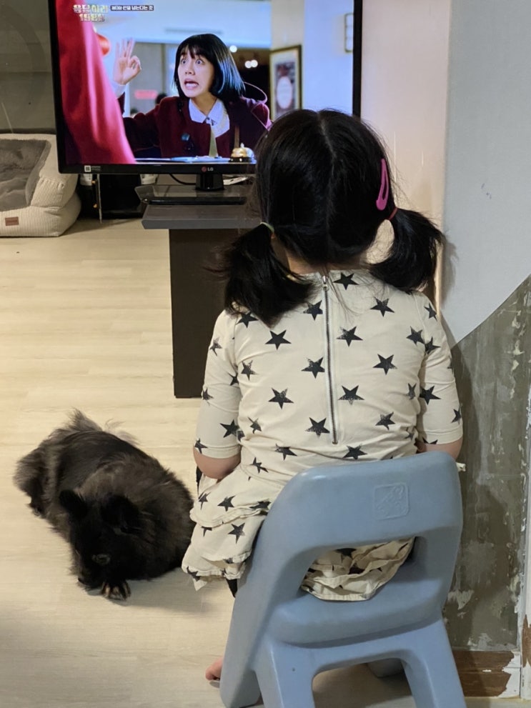  탄이가 저기에 있는이유는??