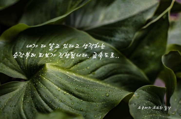  부거사이[부동산 뉴스와 블로그]9월19일(토)
