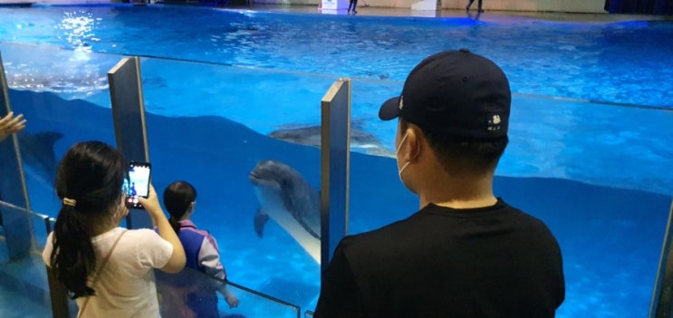  제주 서귀포 관광지 마린스테이지 관람 후기