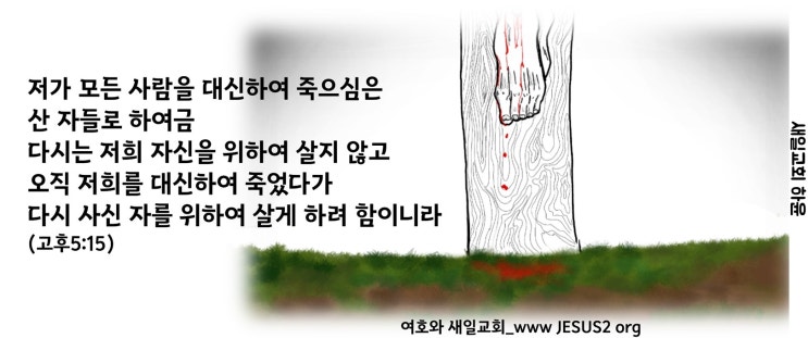 새일교회 | 순종의 걸음을 걸어가신 예수 새일교회 | 순종의 걸음을 걸어가신 예수