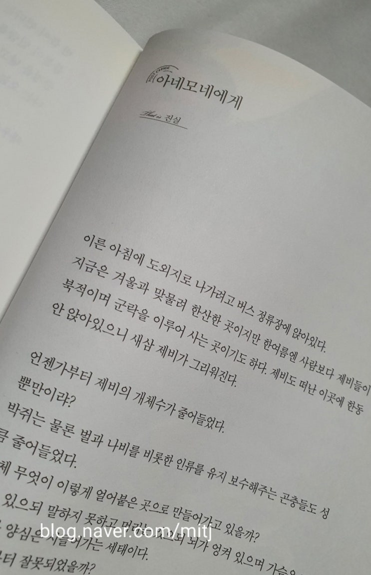  모의편지를 읽으며.커피 한 잔의 향과 맛에 반하다. 에디오피아 모모라  구지  G1 내추럴,  에디오피아  콩가 예가 체프  G1 스페셜