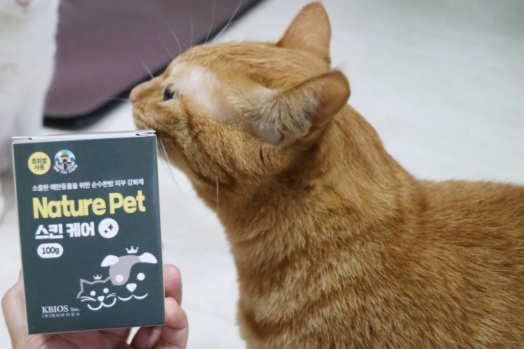  고양이 피부영양제 네이처펫 다크 급여 후기