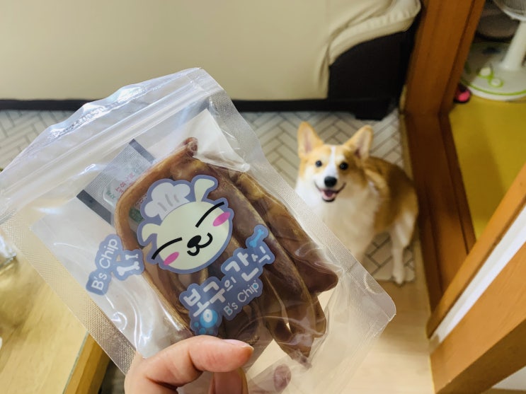  안산 강아지 간식 추천! 봉구의 간식