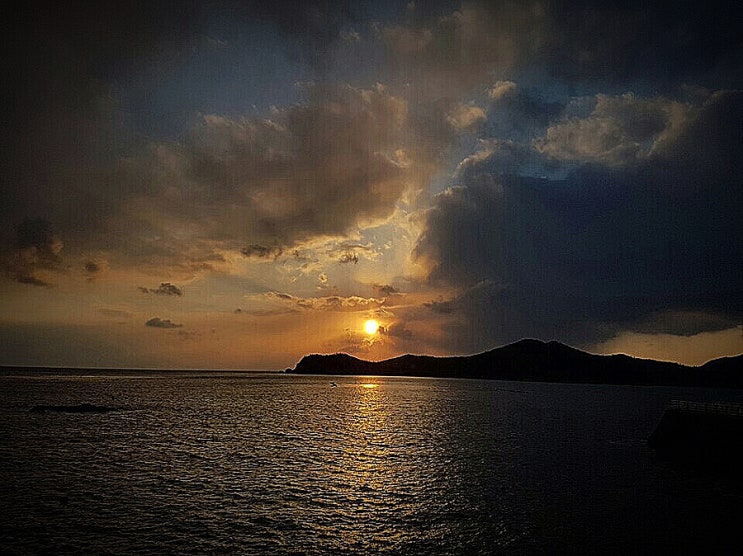  코칭 릴레이 / from.꾸지뽕지킴이 이웃님