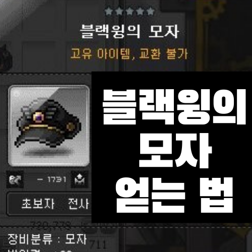  메이플 블랙윙의 모자 얻는 방법 (스테판 / 은밀한 제의 / 블랙윙 위장복 구입)