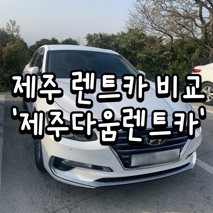  <제주> 렌트카 가격 비교후기 '제주다움렌트카'