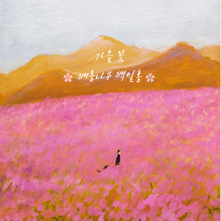  100일동안 피어있는 꽃 배롱나무 백일홍