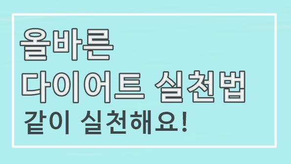  (예뻐지자!) 다이어트 실천법