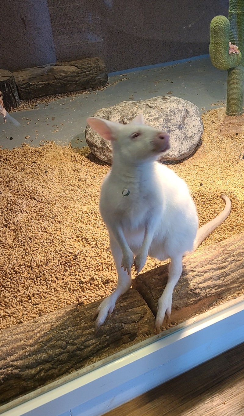 서울대공원 - 서울대공원 added a new photo., image size:800x1363