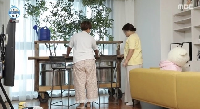 블루베리 나무 테이블 나 혼자 살래.박세리 선물 가격은요?