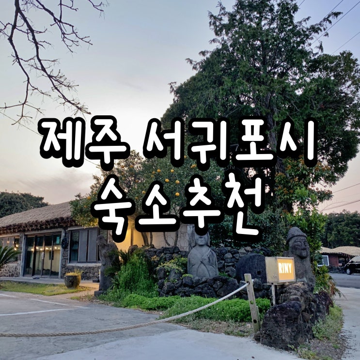  <제주> 제주감성 가득한 제주 동쪽 숙소 추천!