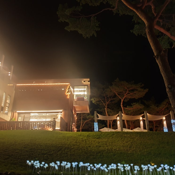  [충남/당진] 당진 예쁜카페 추천::카페로우(Cafe Raw)-노키즈존