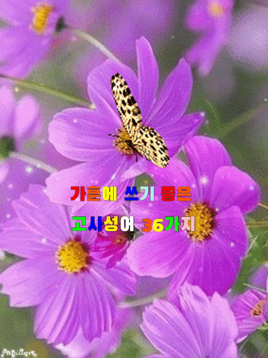 가훈에 쓰기 좋은 고사성어 36가지 가훈에 쓰기 좋은 고사성어 36가지
