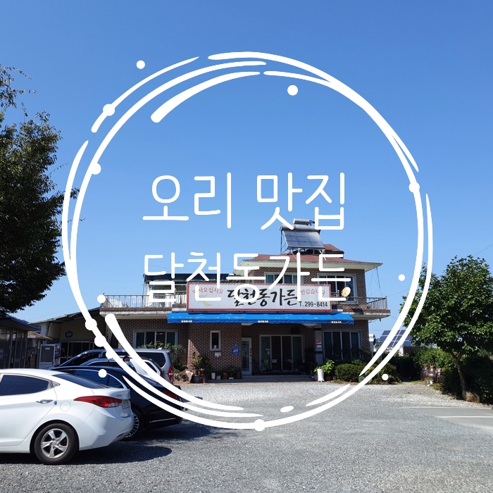  [맛집추천] 달천계곡 다녀왔다 들린 인생 맛집 달천동가든 오리탕 죽여줍니다.