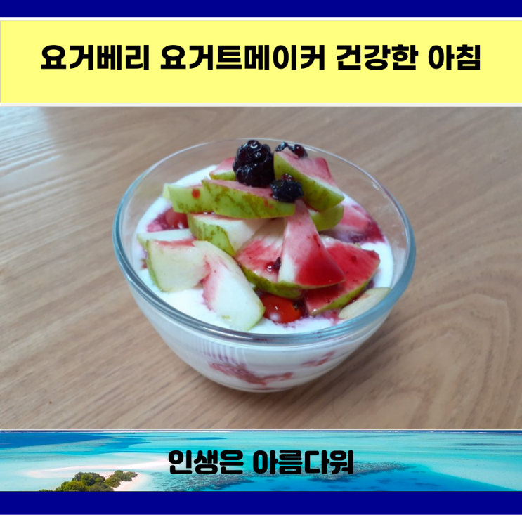  요거베리 요거트메이커 건강한 아침