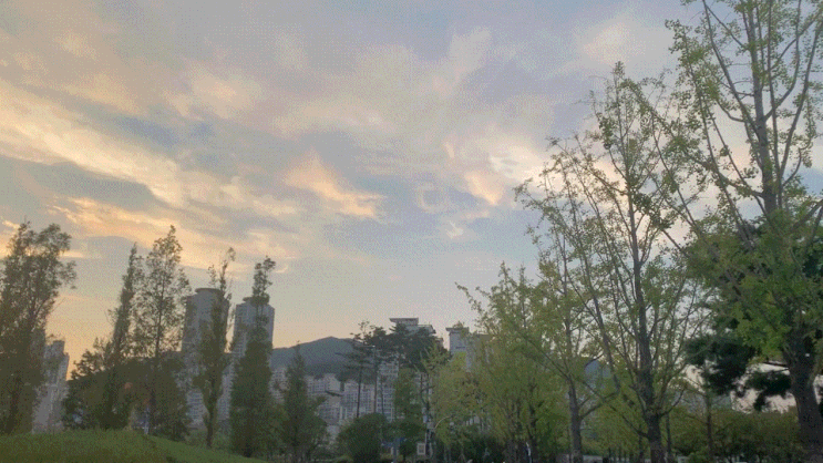  가을하늘아래 시민공원에서 상큼한 피크닉