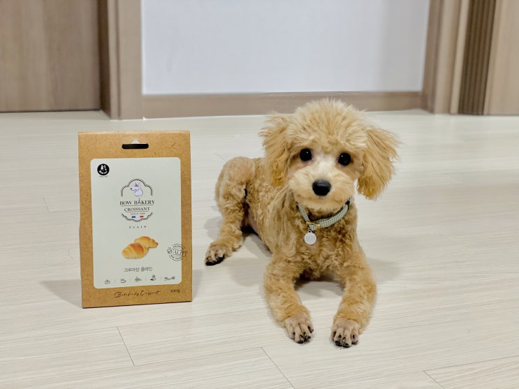  100% 국내산 강아지용 / 애견 빵 크루아상 '바우 케이커리' 크루아상 플레인