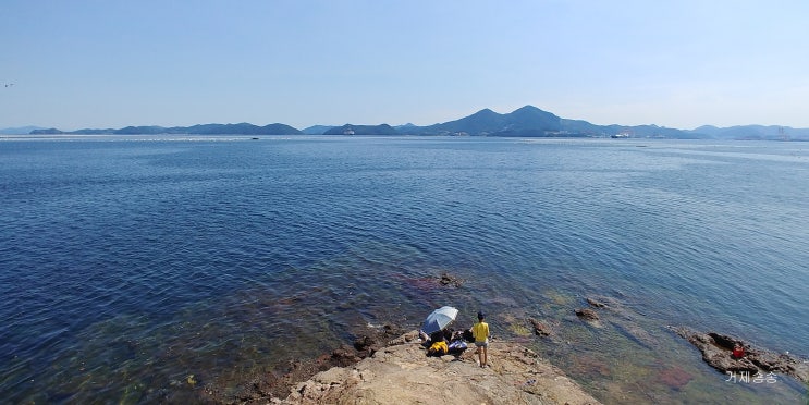  가조도 학꽁치 갈치 낚시